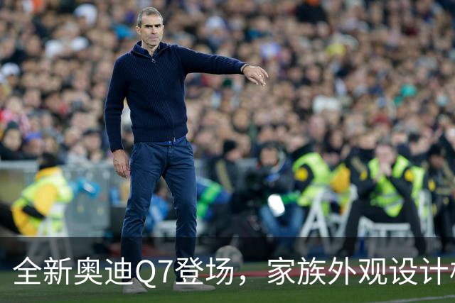 全新奥迪Q7登场，家族外观设计极具辨识度，稳重大气浑然天成