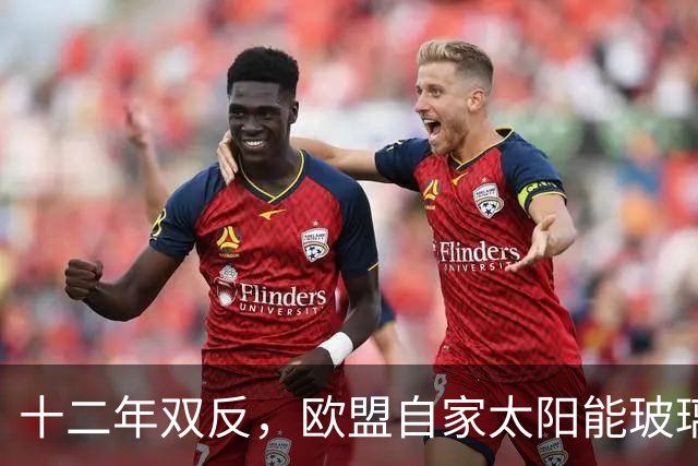 十二年双反，欧盟自家太阳能玻璃产业归零，中国剩3%，印度东南亚端走了盘子