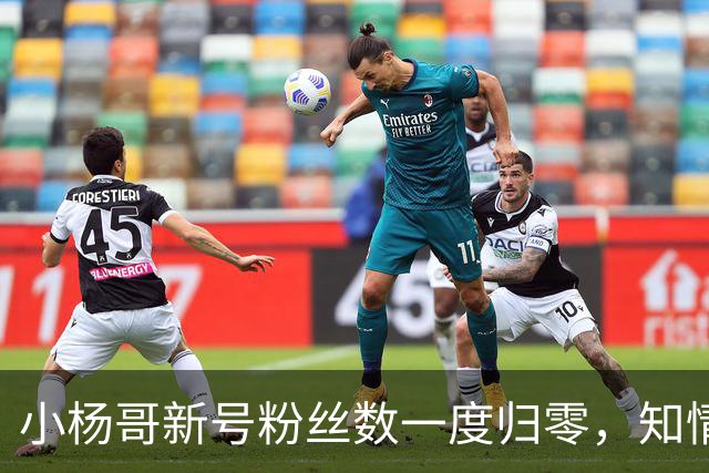 小杨哥新号粉丝数一度归零，知情人士称系数据展示异常，目前账号粉丝数已经正常显示