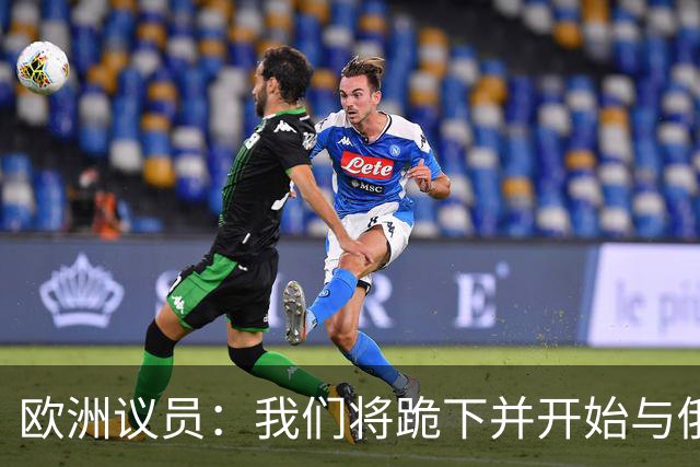 欧洲议员：我们将跪下并开始与俄谈判，这是我们自身愚蠢的结果