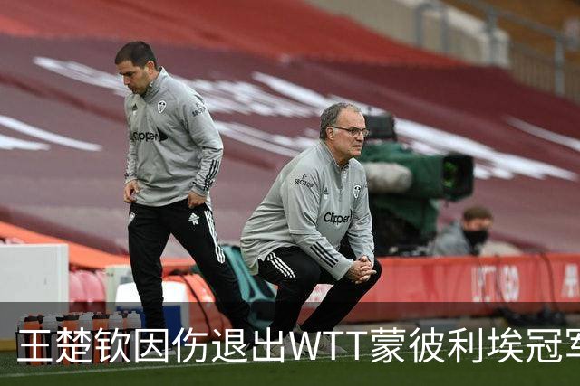 王楚钦因伤退出WTT蒙彼利埃冠军赛