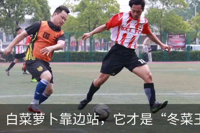 白菜萝卜靠边站，它才是“冬菜王”！天然养胃、强筋骨，炒菜太鲜了
