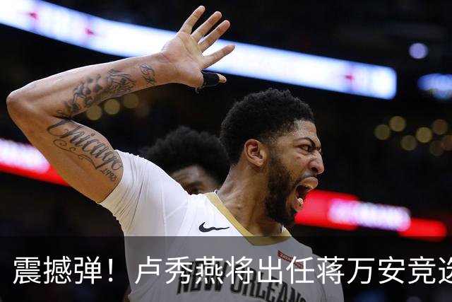 震撼弹！卢秀燕将出任蒋万安竞选总部主委，蓝营祭出姐弟强强联手