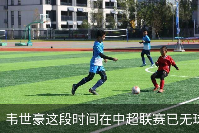 韦世豪这段时间在中超联赛已无球可踢，邵佳一是否还要征召他