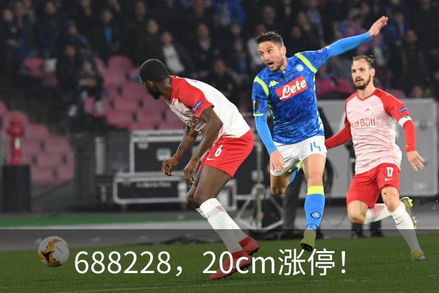 688228，20cm涨停！